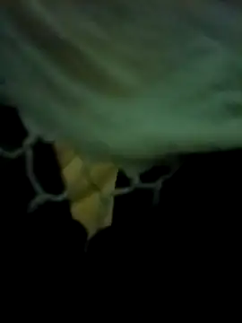 yourdreamman007  online show from March 31, 11:28 pm