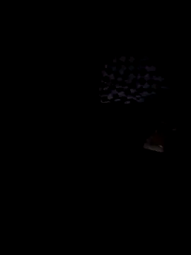 Pigboyyyxxx79 online show from April 1, 9:00 am