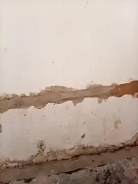 Nkazimulz online show from April 9, 1:28 pm