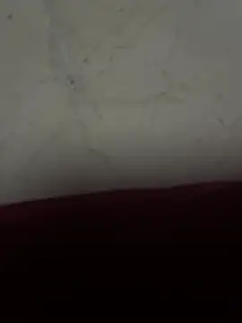 st boyss online show from July 31, 7:12 pm