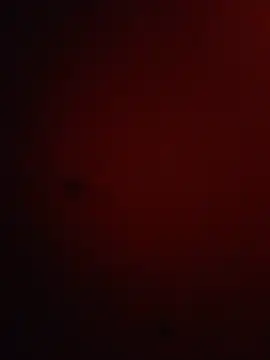 hottraibao93 online show from June 25, 1:27 pm