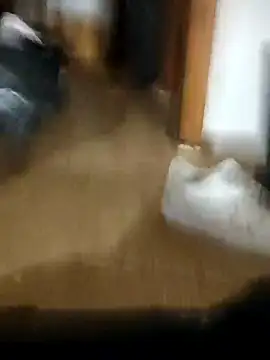 pollon21reales online show from August 4, 2:06 am