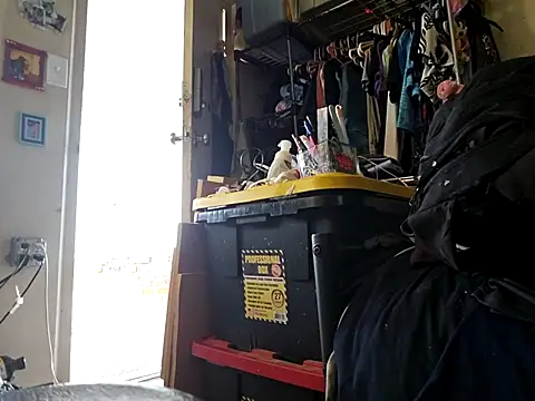 UncutHammer69 online show from January 7, 8:03 pm