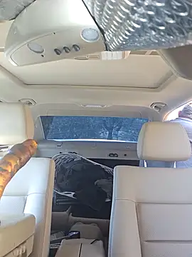 UncutHammer69 online show from September 30, 9:07 pm