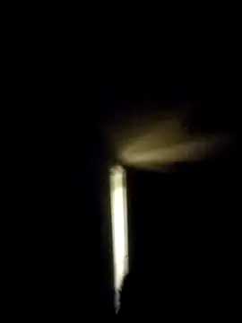 trucker1979 online show from November 9, 8:07 am