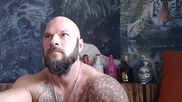 viking 30 online show from October 2, 9:24 am