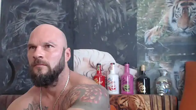 viking 30 online show from September 9, 9:42 am