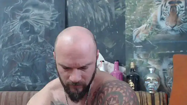 viking 30 online show from October 18, 5:56 am