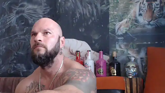 viking 30 online show from September 17, 10:16 am