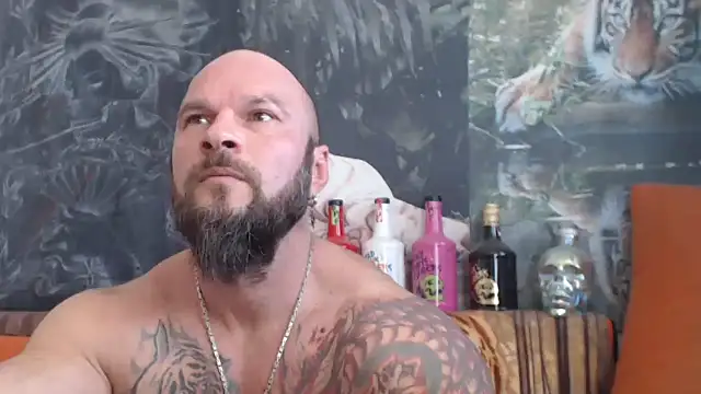 viking 30 online show from September 23, 10:25 am