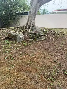 JohnnyBigShot online show from January 12, 6:34 pm