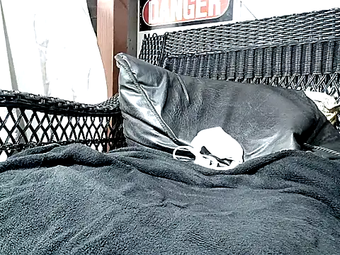 HungHawaiian808xh online show from November 10, 4:50 am