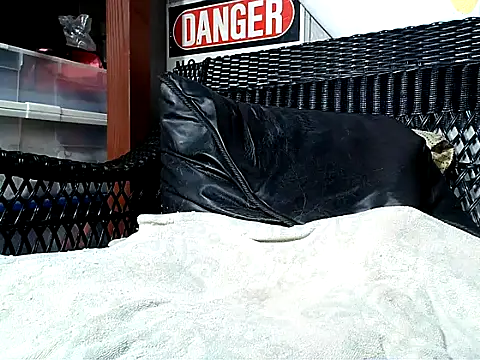 HungHawaiian808xh online show from October 5, 12:36 am