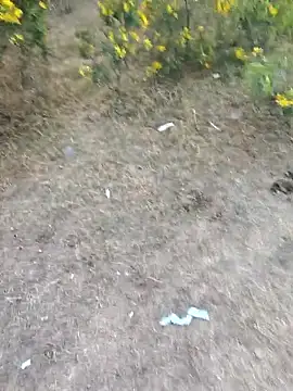 rameshmry1 online show from March 14, 12:34 pm