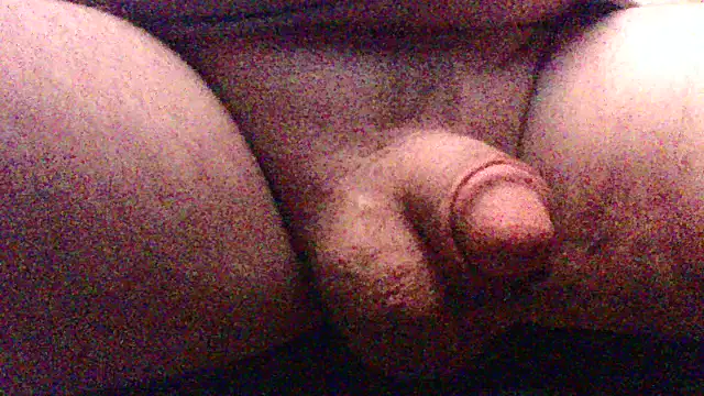 SDtinycok online show from November 2, 1:15 pm