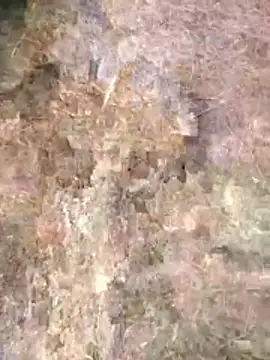 FinableKnee online show from April 24, 1:08 am