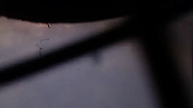 Cordt27 online show from February 12, 4:02 pm