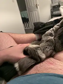 Furdale online show from November 25, 4:42 pm