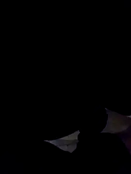 rodovlaz online show from December 19, 3:29 am