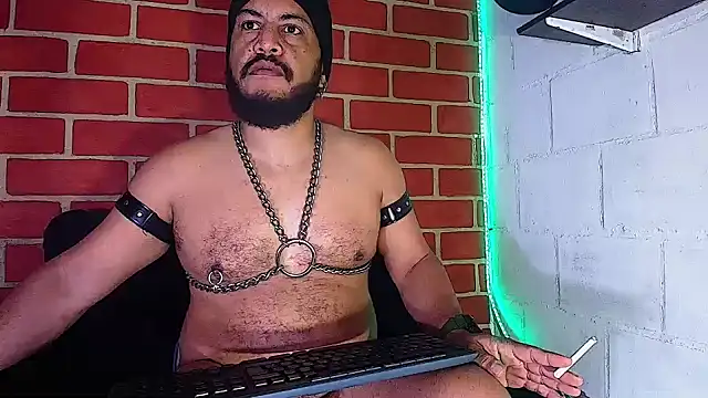 the master foal  online show from December 17, 11:28 am