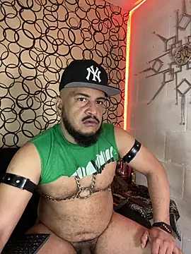 the master foal  online show from February 27, 7:02 pm