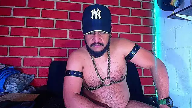 the master foal  online show from December 6, 12:16 pm