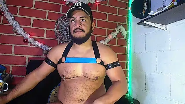 the master foal  online show from December 27, 3:38 pm