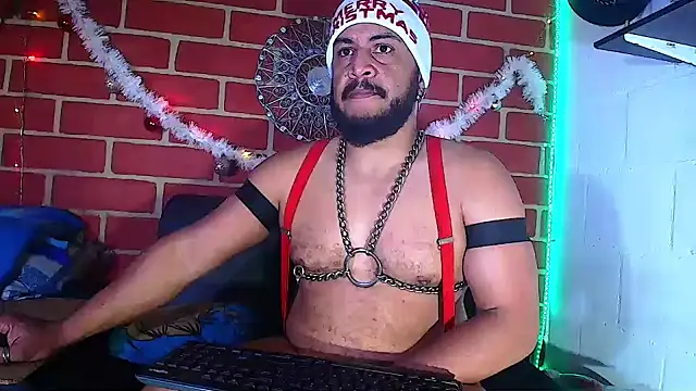 the master foal  online show from December 28, 4:41 am