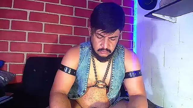 the master foal  online show from January 22, 10:07 am