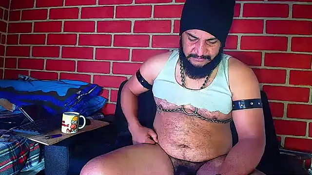 the master foal  online show from December 3, 11:21 am