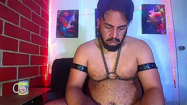 the master foal  online show from March 2, 11:19 am