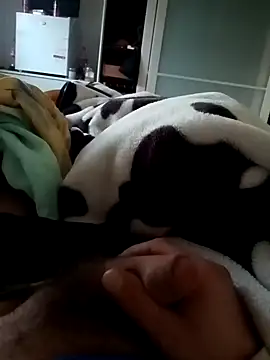 maxbigol online show from February 8, 7:26 am