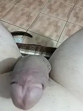 yurasec online show from February 1, 3:18 pm