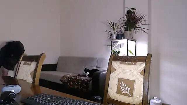 Snapshot of Herman_Elfi chatting on February 13, 2:42 pm Herman Elfi online show from February 13, 2:42 pm