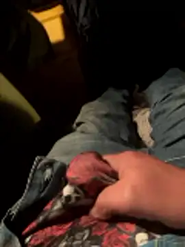 prekumstud online show from April 22, 11:59 am