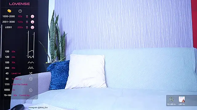 wild col  online show from April 17, 1:30 am