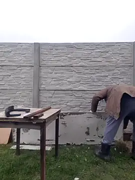 Snapshot of Pandasky chatting on February 6, 11:32 am Pandasky online show from February 6, 11:32 am