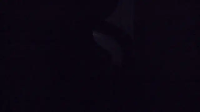 SouTarado69 online show from March 21, 11:45 pm