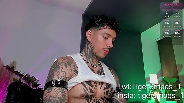 TigerStripes1  online show from March 22, 12:39 am