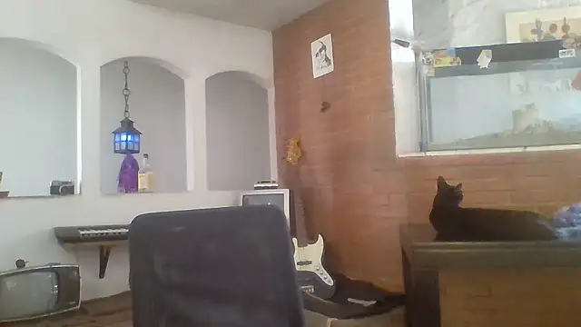 Stevenson988 online show from January 14, 6:00 pm