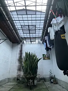 oliver price1 online show from October 3, 10:48 pm